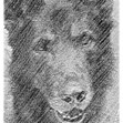 Person icon