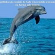 Avatar do Utilizador