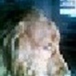 Avatar do Utilizador